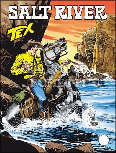 TEX GIGANTE #   627: SALT RIVER